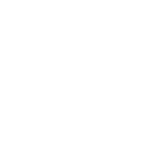 EzReplay Logo